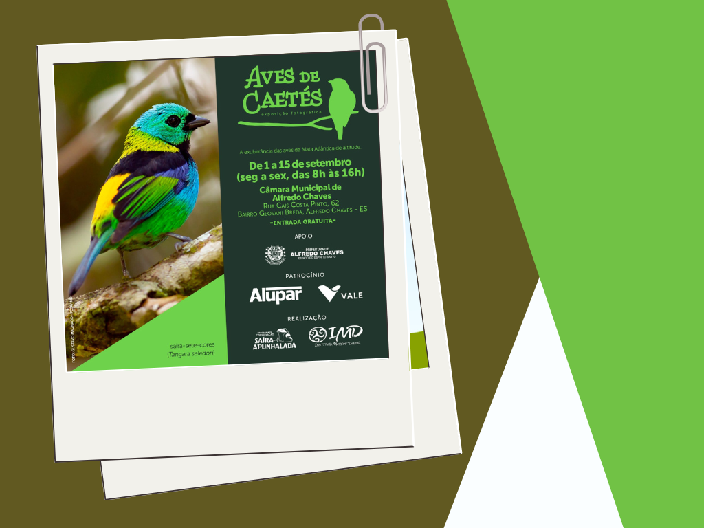 De 1º a 15 de setembro, a Câmara de Alfredo Chaves recebe a exposição fotográfica “Aves de Caetés”