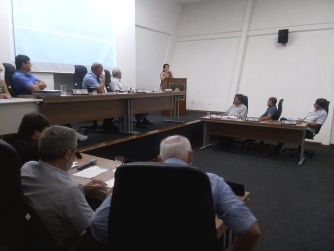 Secretária de Saúde é sabatinada por mais de duas horas na CMAC